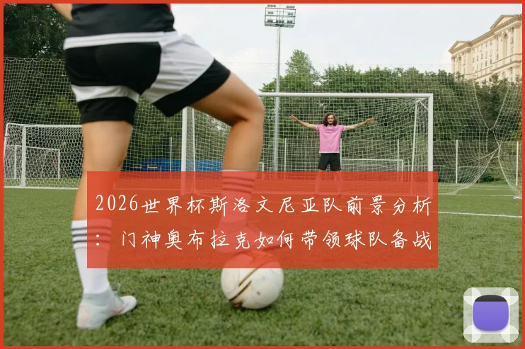 2026世界杯斯洛文尼亚队前景分析：门神奥布拉克如何带领球队备战