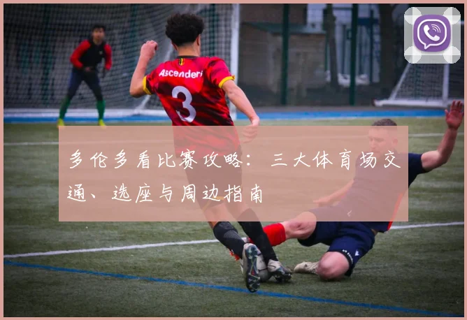 多伦多看比赛攻略：三大体育场交通、选座与周边指南